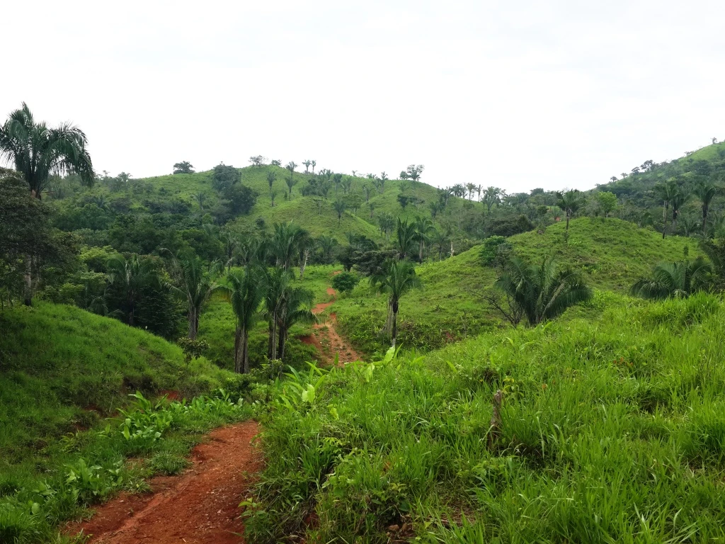 Agro Ganadera San Felipe
