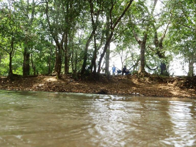 Agro Ganadera San Felipe