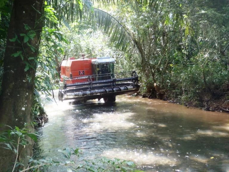 Agro Ganadera San Felipe