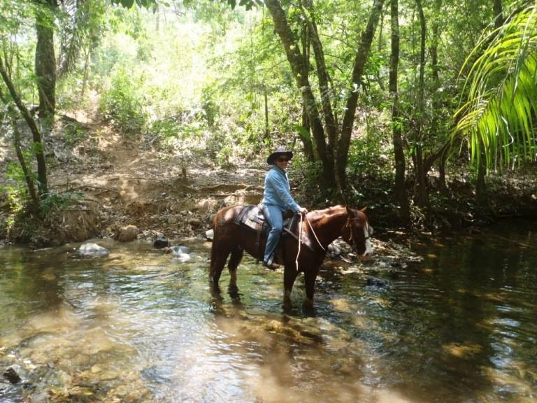 Agro Ganadera San Felipe