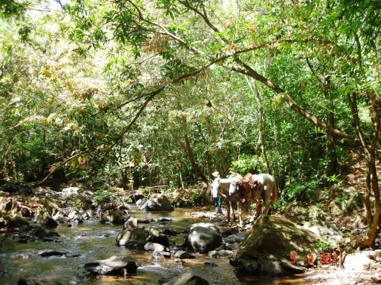 Agro Ganadera San Felipe