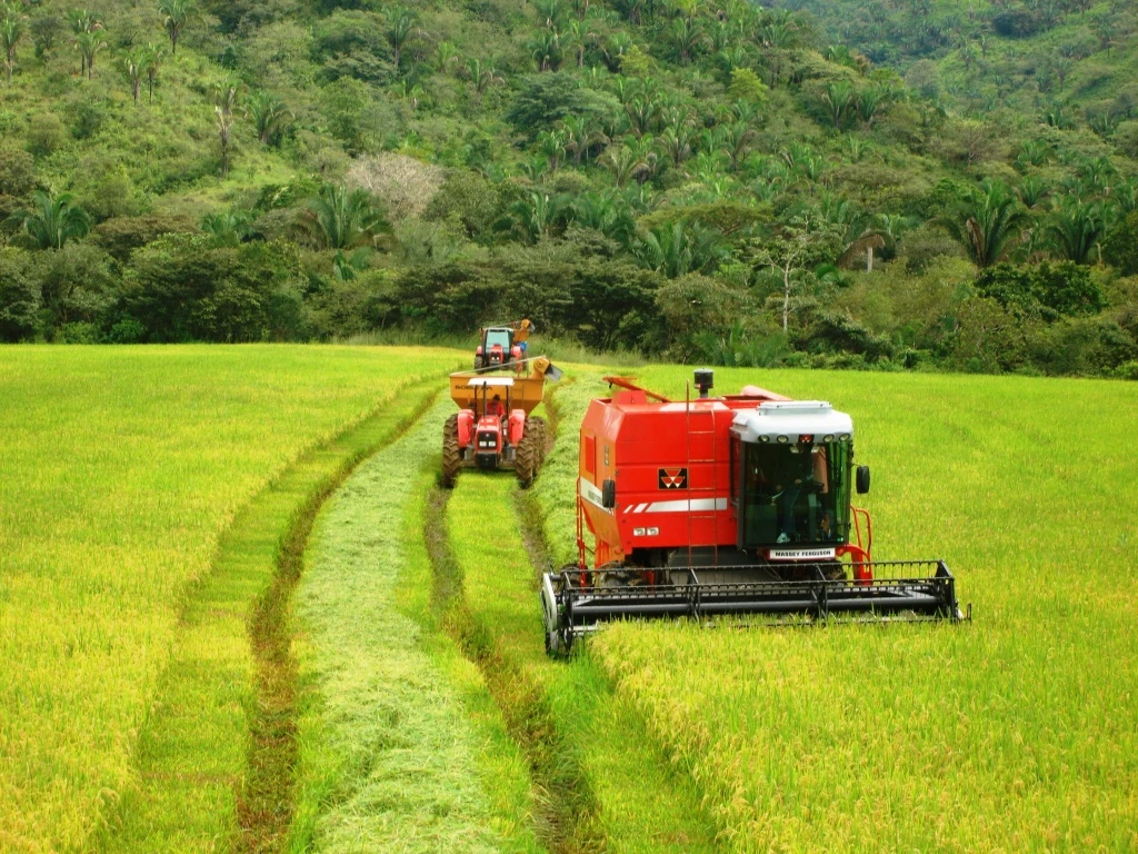 Agro Ganadera San Felipe