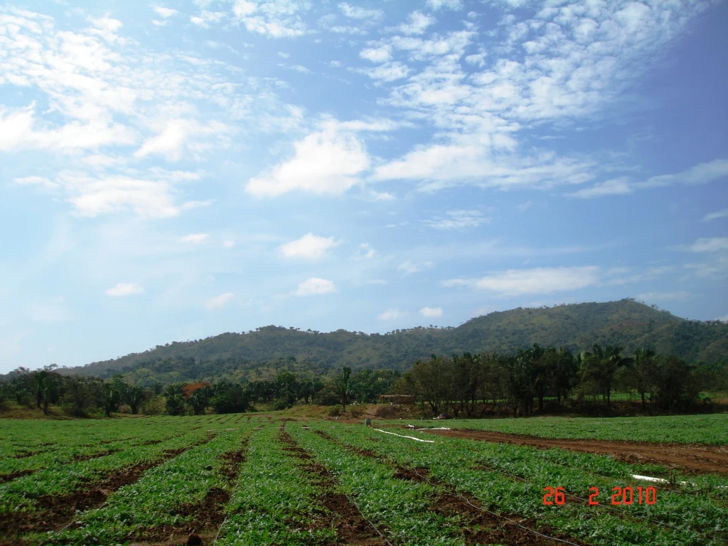 Agro Ganadera San Felipe