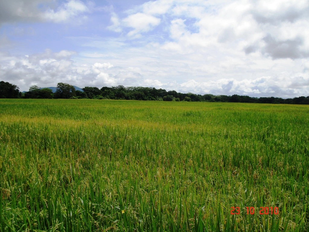 Agro Ganadera San Felipe