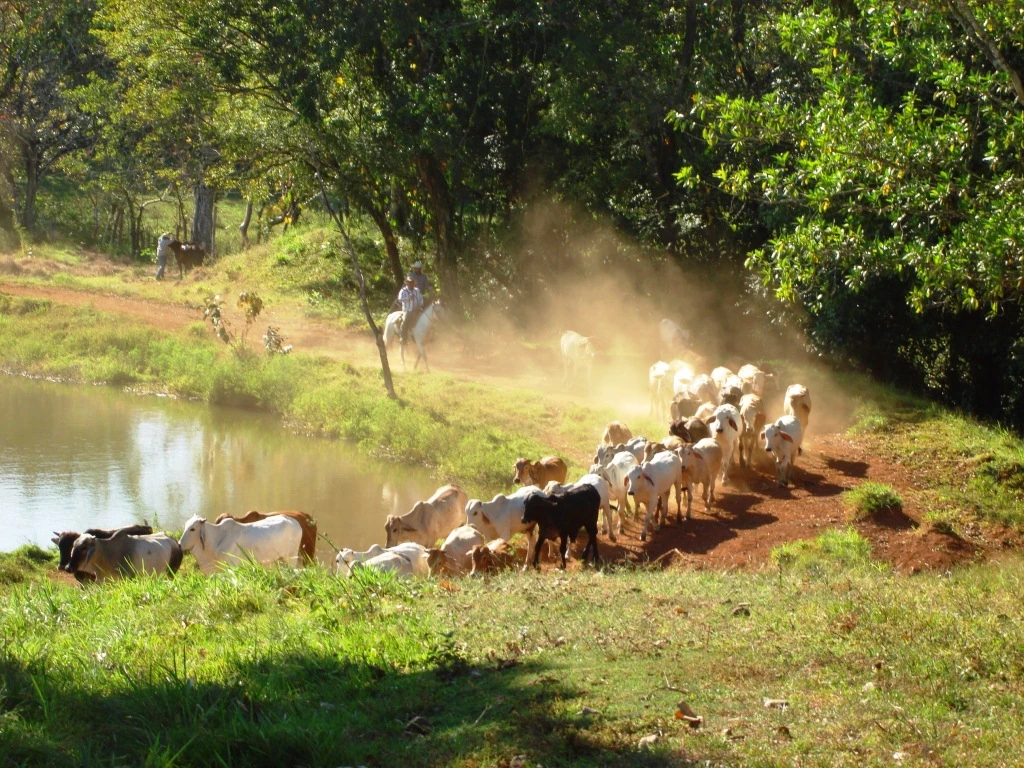 Agro Ganadera San Felipe