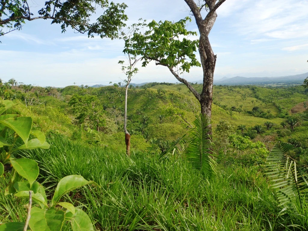 Agro Ganadera San Felipe