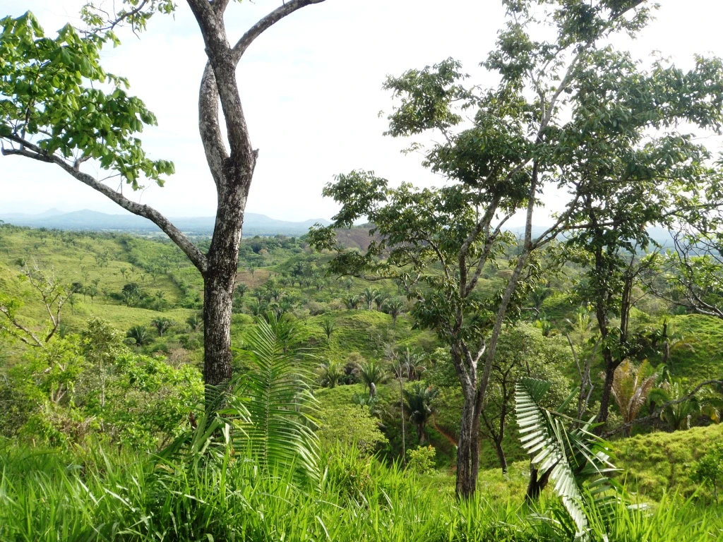 Agro Ganadera San Felipe