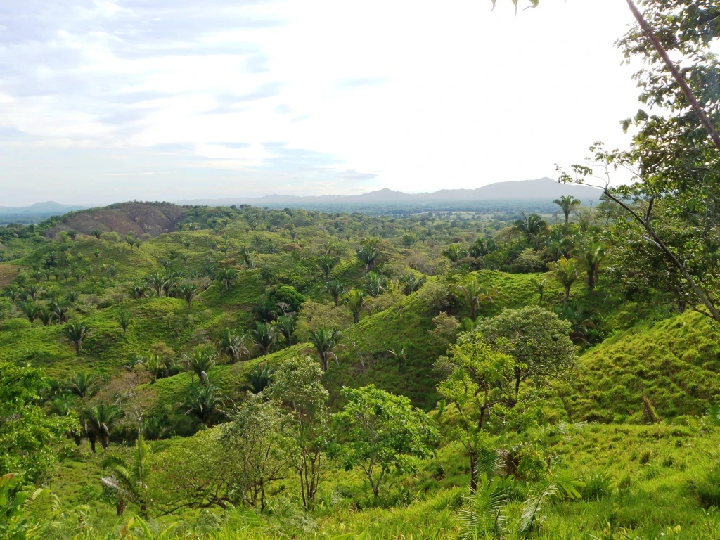 Agro Ganadera San Felipe