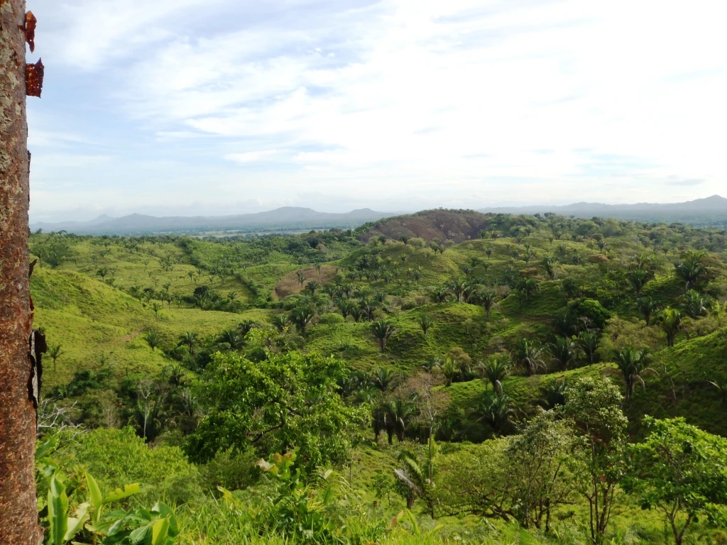 Agro Ganadera San Felipe