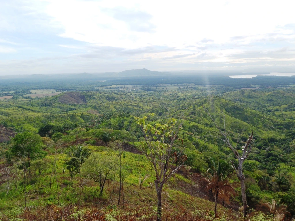 Agro Ganadera San Felipe