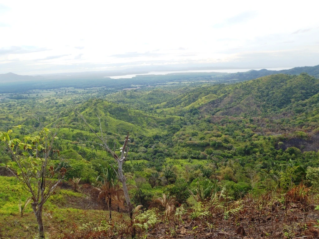 Agro Ganadera San Felipe