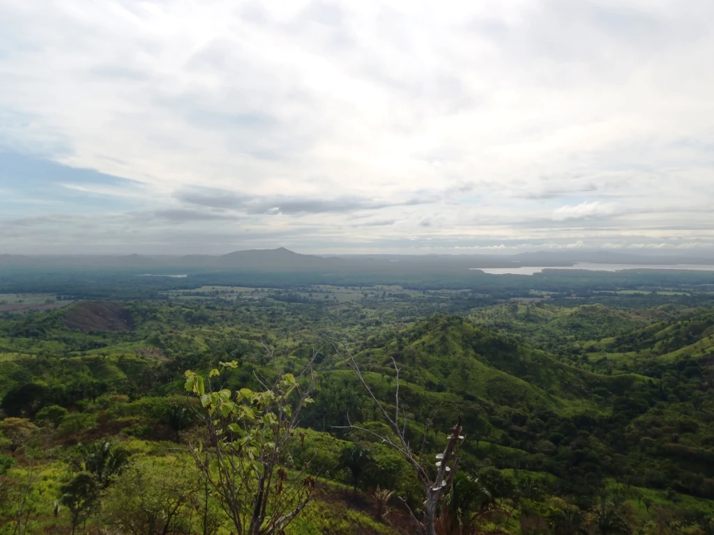 Agro Ganadera San Felipe