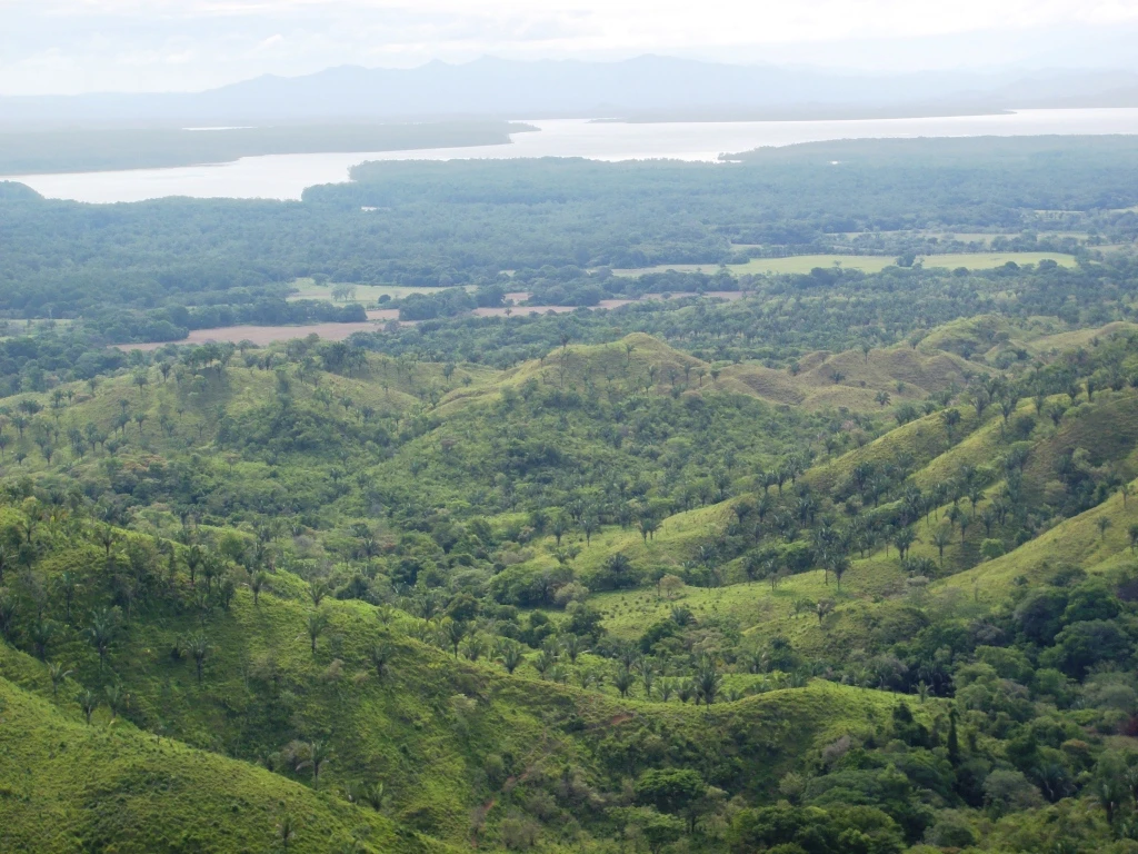 Agro Ganadera San Felipe