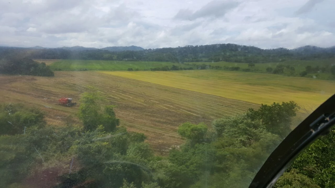 Agro Ganadera San Felipe